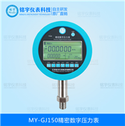 MY-GJ150精密數(shù)字壓力表